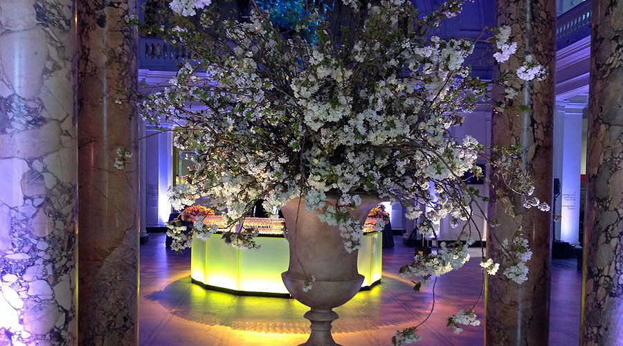 1559320 251404978377433 129116088 o