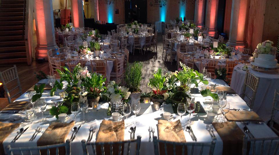 10380305 264080207109910 4628874763076413656 n