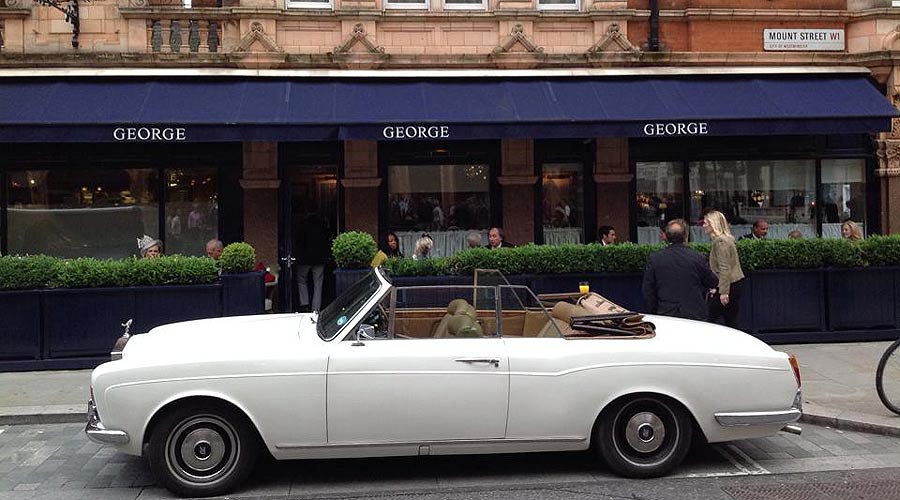 10369106 313471902170740 4930349194675814186 n