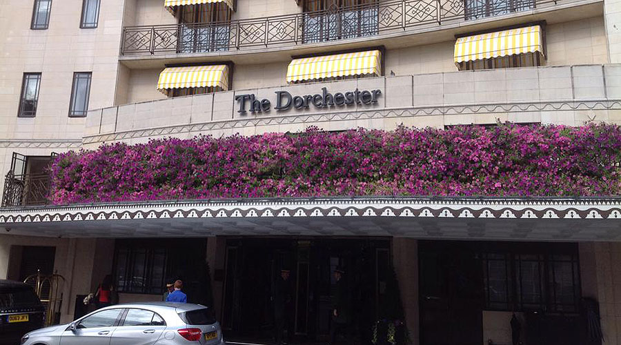 What a fabulous event on Saturday1